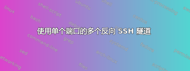 使用单个端口的多个反向 SSH 隧道