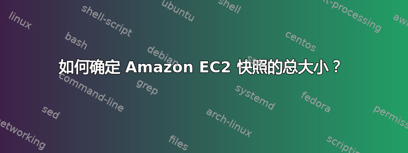 如何确定 Amazon EC2 快照的总大小？