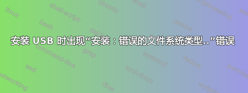 安装 USB 时出现“安装：错误的文件系统类型..”错误