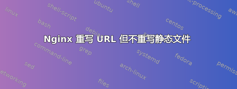 Nginx 重写 URL 但不重写静态文件