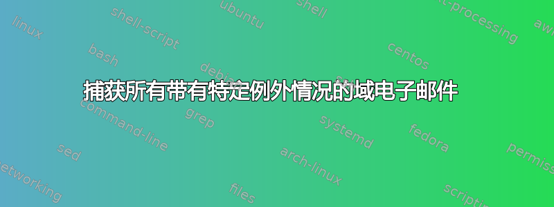 捕获所有带有特定例外情况的域电子邮件 