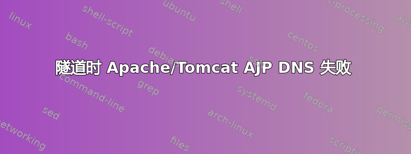 隧道时 Apache/Tomcat AJP DNS 失败