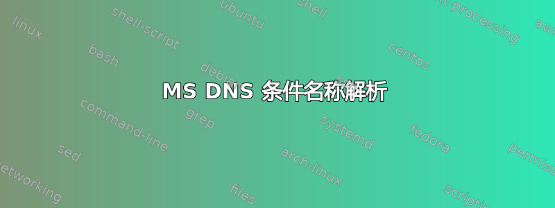 MS DNS 条件名称解析