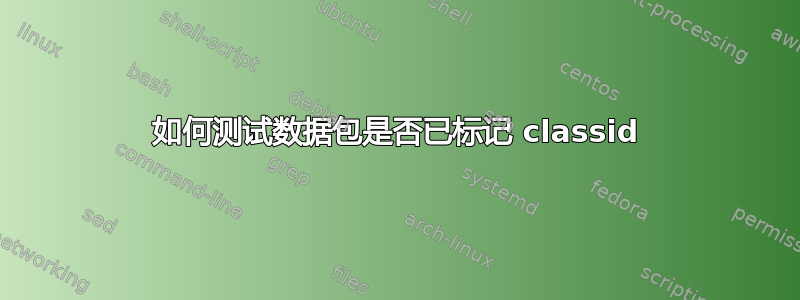 如何测试数据包是否已标记 classid