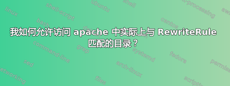 我如何允许访问 apache 中实际上与 RewriteRule 匹配的目录？