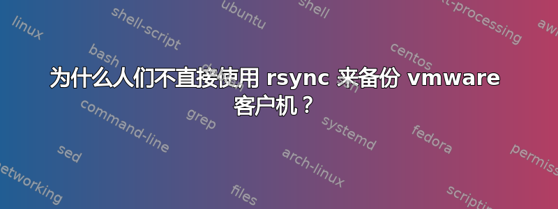 为什么人们不直接使用 rsync 来备份 vmware 客户机？