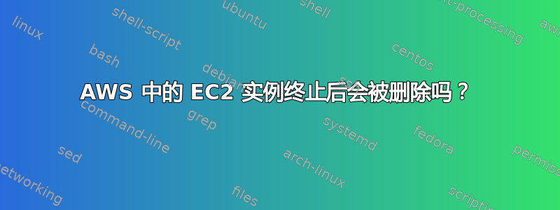 AWS 中的 EC2 实例终止后会被删除吗？