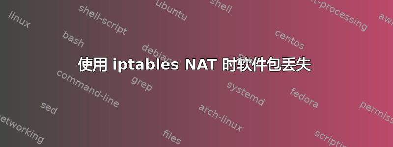 使用 iptables NAT 时软件包丢失