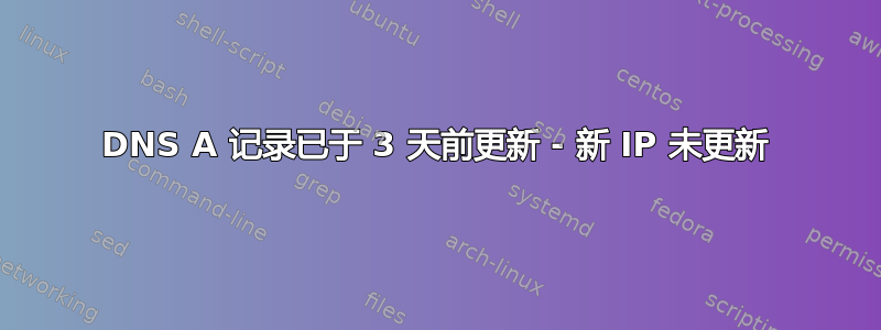 DNS A 记录已于 3 天前更新 - 新 IP 未更新