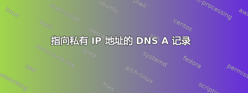 指向私有 IP 地址的 DNS A 记录 