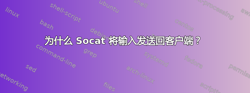 为什么 Socat 将输入发送回客户端？