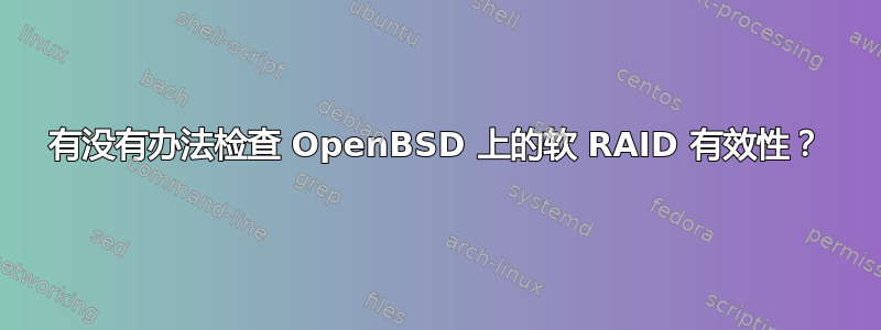 有没有办法检查 OpenBSD 上的软 RAID 有效性？