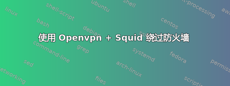 使用 Openvpn + Squid 绕过防火墙