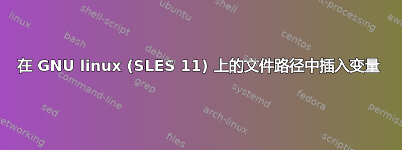 在 GNU linux (SLES 11) 上的文件路径中插入变量