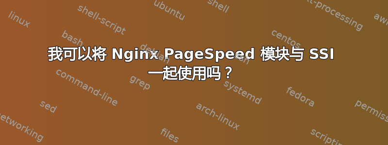 我可以将 Nginx PageSpeed 模块与 SSI 一起使用吗？