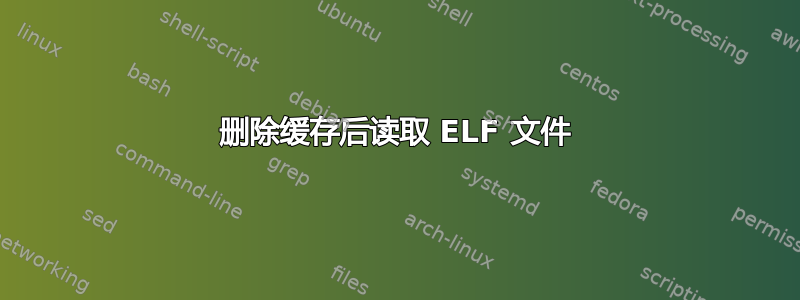 删除缓存后读取 ELF 文件