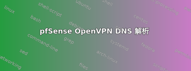 pfSense OpenVPN DNS 解析