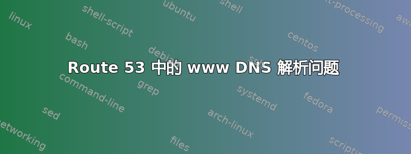 Route 53 中的 www DNS 解析问题