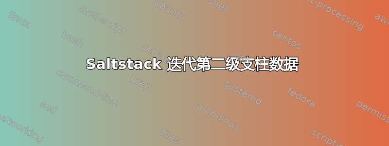 Saltstack 迭代第二级支柱数据