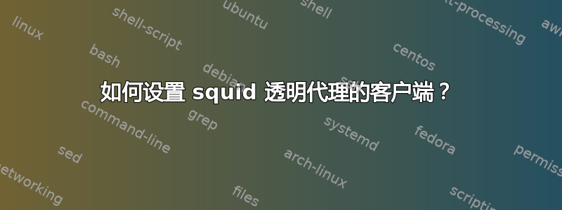 如何设置 squid 透明代理的客户端？