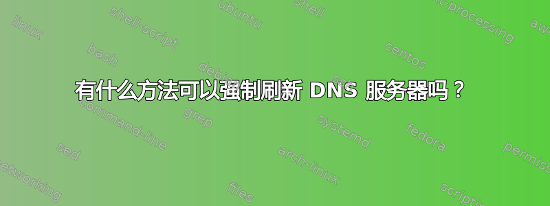 有什么方法可以强制刷新 DNS 服务器吗？