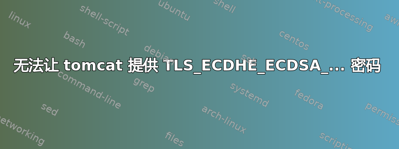 无法让 tomcat 提供 TLS_ECDHE_ECDSA_... 密码