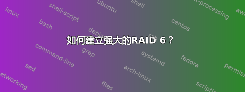 如何建立强大的RAID 6？