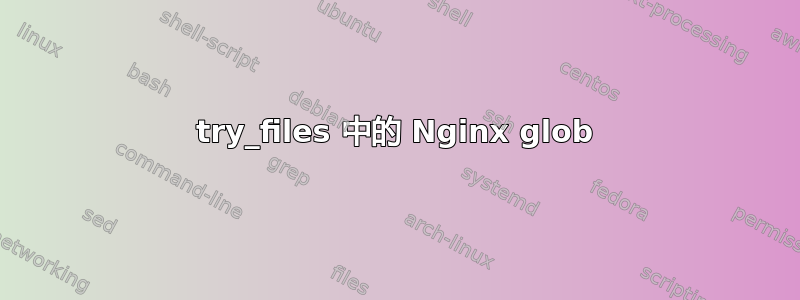 try_files 中的 Nginx glob