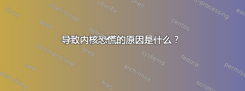 导致内核恐慌的原因是什么？