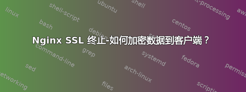 Nginx SSL 终止-如何加密数据到客户端？