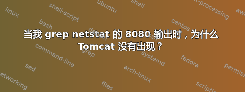 当我 grep netstat 的 8080 输出时，为什么 Tomcat 没有出现？