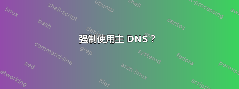 强制使用主 DNS？