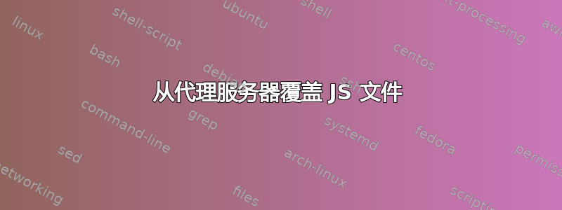 从代理服务器覆盖 JS 文件