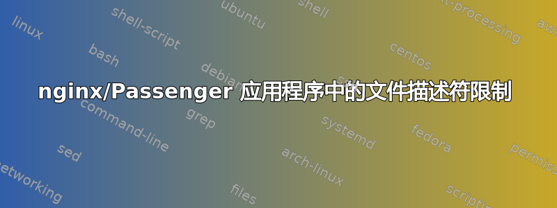 nginx/Passenger 应用程序中的文件描述符限制