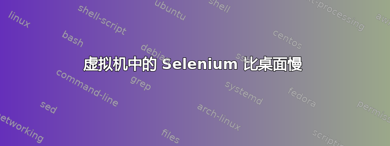 虚拟机中的 Selenium 比桌面慢