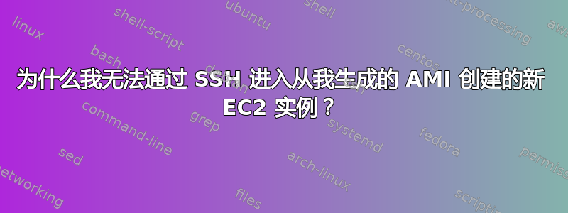 为什么我无法通过 SSH 进入从我生成的 AMI 创建的新 EC2 实例？