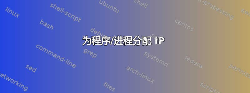 为程序/进程分配 IP