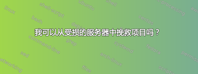 我可以从受损的服务器中挽救项目吗？