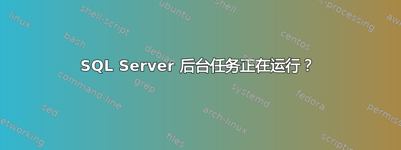 SQL Server 后台任务正在运行？