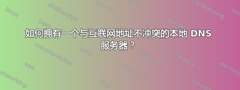 如何拥有一个与互联网地址不冲突的本地 DNS 服务器？