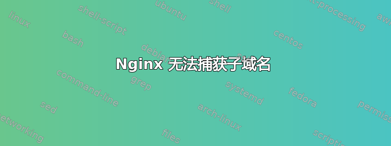 Nginx 无法捕获子域名