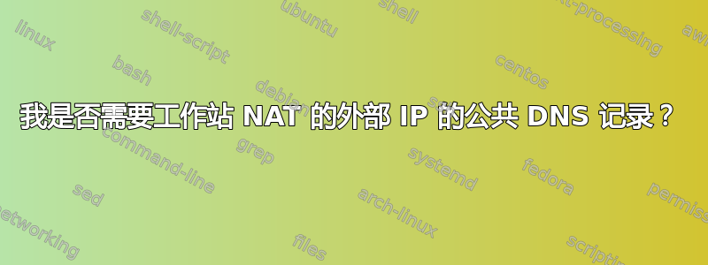 我是否需要工作站 NAT 的外部 IP 的公共 DNS 记录？