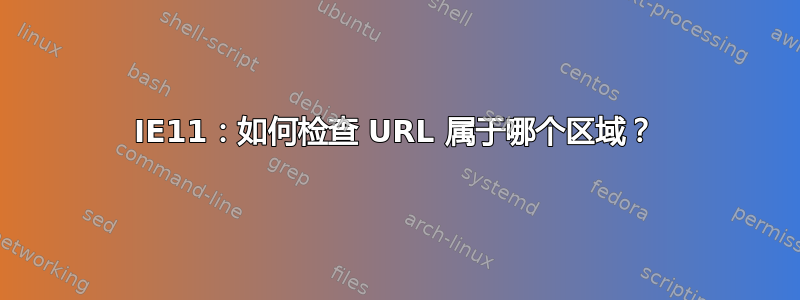 IE11：如何检查 URL 属于哪个区域？