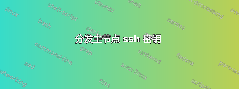 分发主节点 ssh 密钥