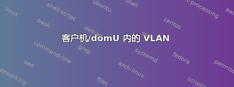 客户机/domU 内的 VLAN