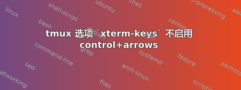 tmux 选项 `xterm-keys` 不启用 control+arrows