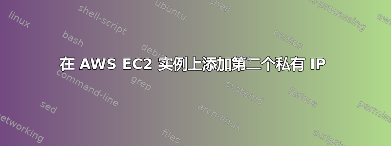 在 AWS EC2 实例上添加第二个私有 IP