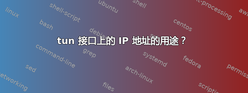 tun 接口上的 IP 地址的用途？