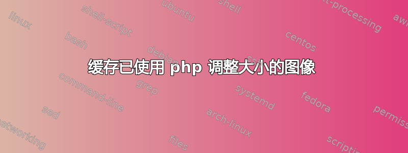 缓存已使用 php 调整大小的图像