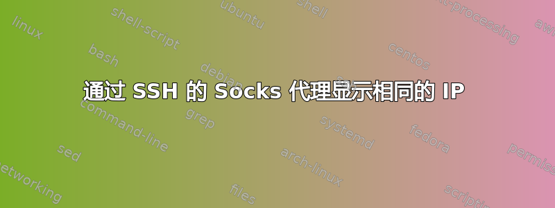 通过 SSH 的 Socks 代理显示相同的 IP